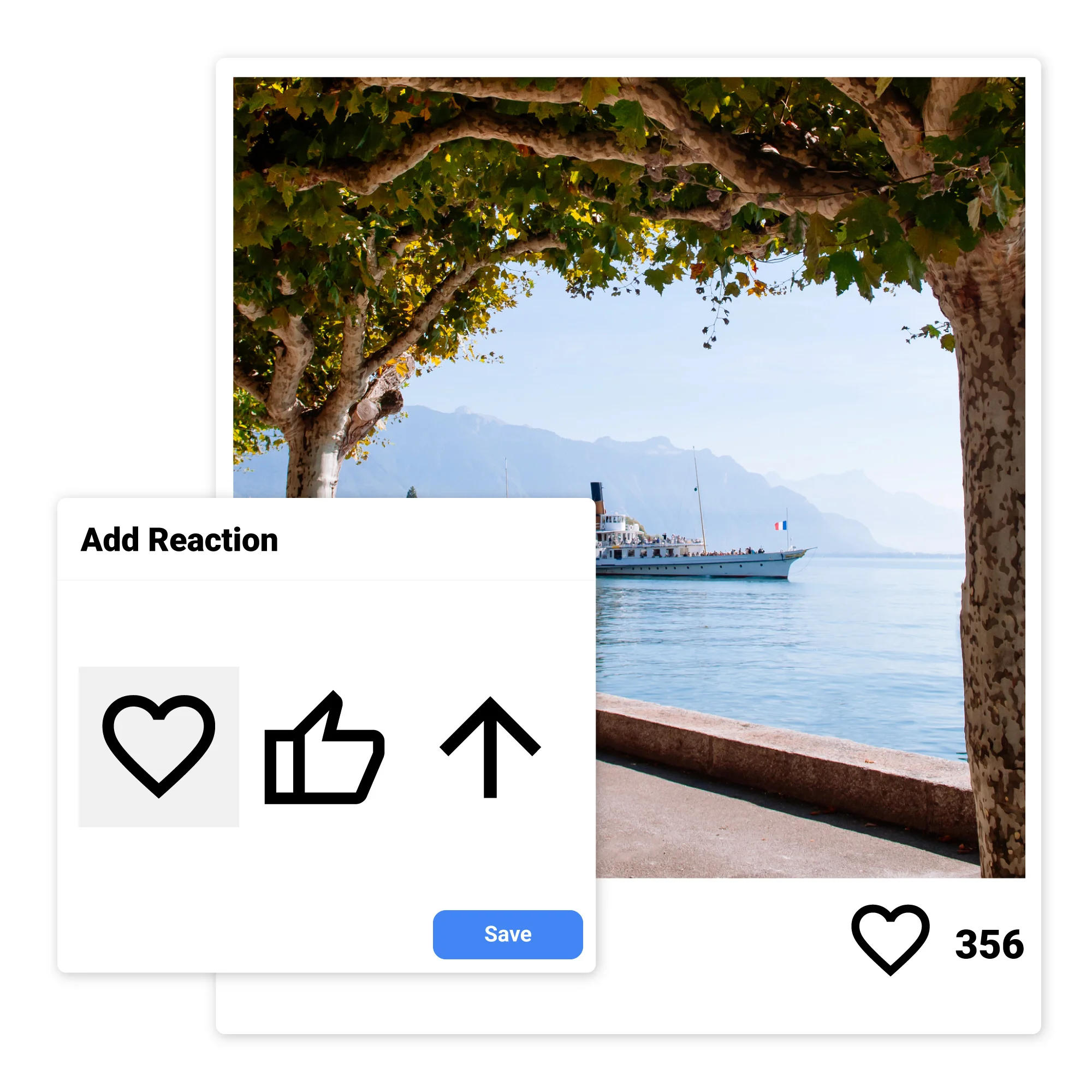 Reactions & Feedback